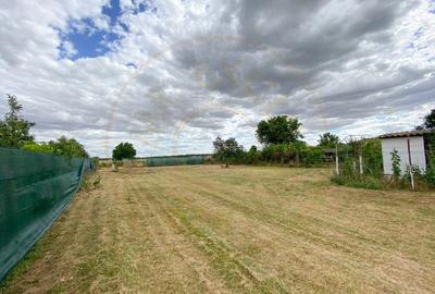 Teren intravilan 1412 mp, Ciofliceni – Ilfov - 1