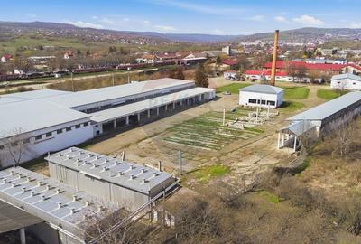 Teren Construcții intravilan de 44425 mp, în Est - 17