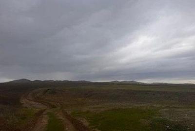 Teren de 15000 mp, în Nalbant - 3