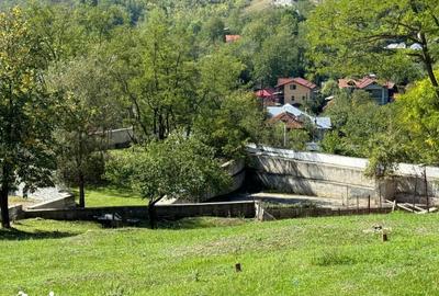 Casă cu 8 camere cu Teren 105000 Mp în Chiojdeanca - 4