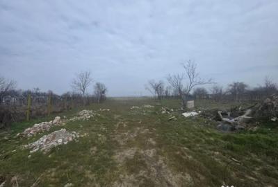 Teren în Rovine - 2