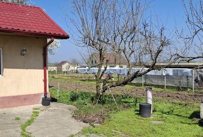 Casă individuală cu 5 camere cu Teren 1600 Mp în Ciocârlia - 4