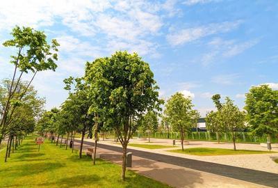 Teren Construcții intravilan de 8525 mp, în Metalurgiei - 16