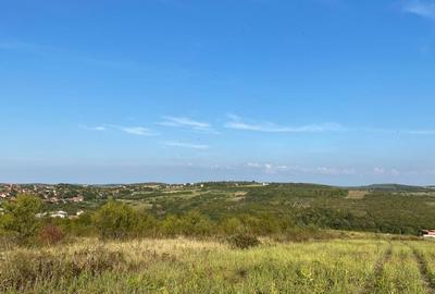 Teren Construcții intravilan de 1239 mp, în Săldăbagiu de Munte - 4