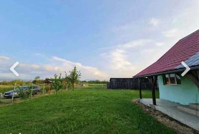 Casă cu Teren 1100 Mp în Dobolii de Jos - 2