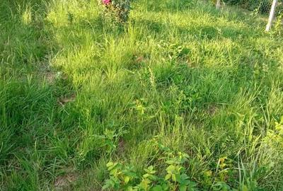 Teren de 1000 mp, în Cisnădioara - 2