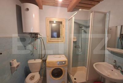 Cabana in colibita - 8