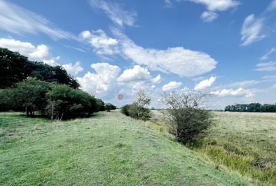 Teren Extravilan - 3