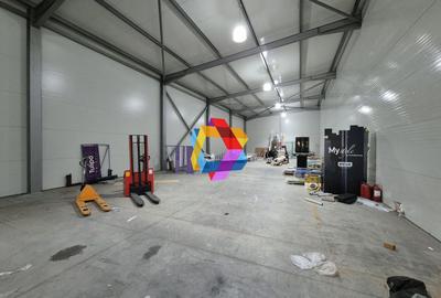 Spațiu industrial, de 300 mp, în Astra - 1