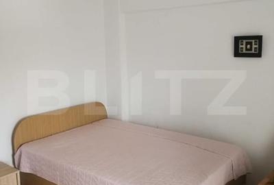 Apartament 2 camere de inchiriat, 55 mp, zona Podul de Fier - 3