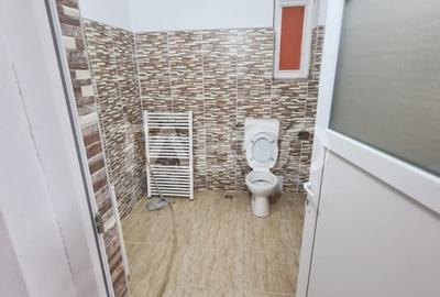 Hala industriala cu birou de inchiriat in Sebes zona centrala - 9