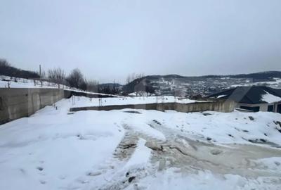 Teren de 500 mp, în Central