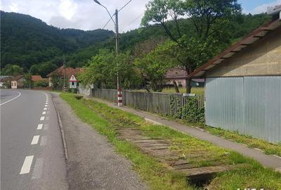 Teren de 4500 mp, în Ciucea - 8