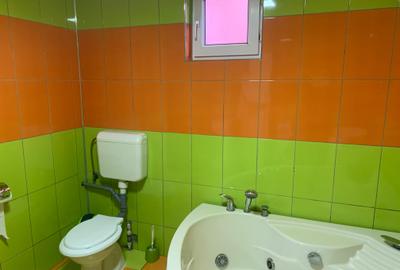 Vila 3 camere Colentina-Andronache - 9