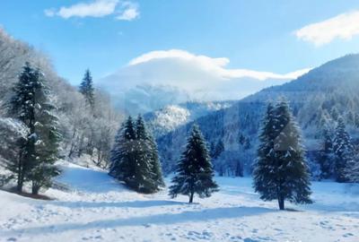 Teren în Central - 2