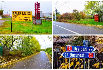 Vanzare teren de COLT 682mp Balta Lilieci Sat Lilieci Sinesti Ialomita - 1