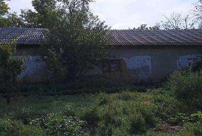 Teren de 1335 mp, în Grădiștea - 6