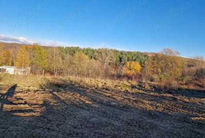Teren de 1000 mp, în Cisnădioara - 2