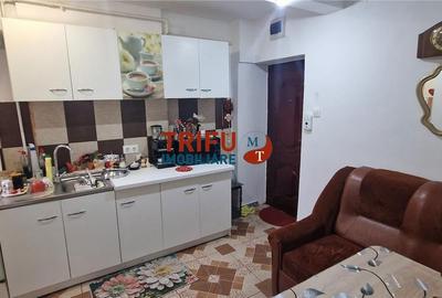 Apartament cu 2 camere decomandat în Cetate - 8