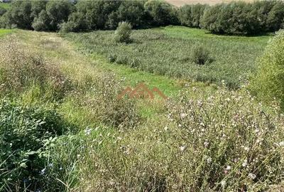 Teren de 8000 mp, în Moara