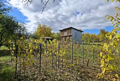 Priveliste de vis, 5 camere + anexe, teren 7000 mp, gata de mutat - comision 0%! - 9