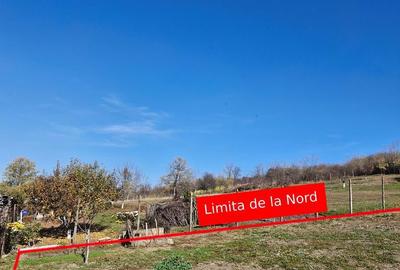 Spațiu comercial, în Rediu - 4