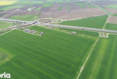 Teren de 40578 mp, în Ciorogârla - 4