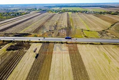 Terenuri industriale cu deschidere la A1, km 64 – Jugureni, Dambovita - 6