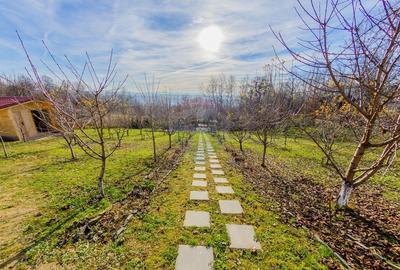 VILA DE VIS CU TEREN GENEROS, DE VANZARE - 48