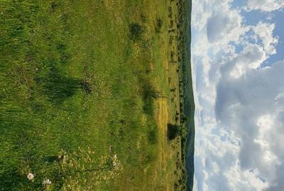 Teren de 1500 mp, în Merișani - 2