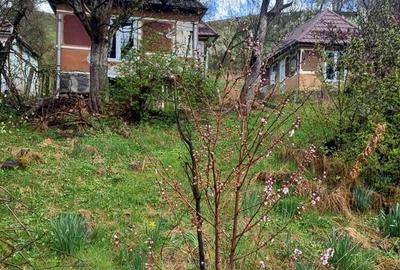 Casă în Fițcău - 2