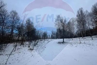 Teren de 10054 mp, în Mănăstirea - 1