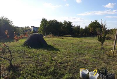 Casă cu 3 camere în Viile Satu Mare - 5