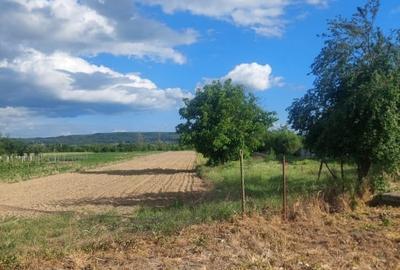 Teren Construcții intravilan de 3000 mp, în Telești - 1