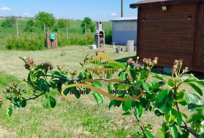 Teren cu Zona Intravilana, Bacau-Lilieci, 1200 mp - 11