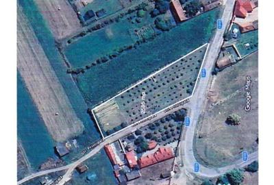Teren de 2595 mp, în Bogata Olteană