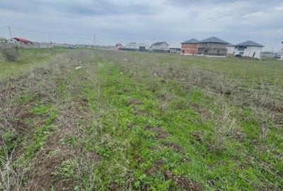 Teren agricol intravilan de 500 mp, în Clinceni - 4