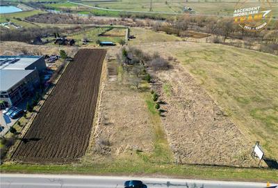 FILM! Doua terenuri intravilane,sursa proprie apa+constructie,langa DN,Sfantu Gheorghe, Covasna - 6