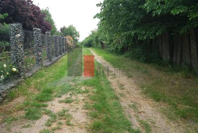 Teren Buftea cu iesire la lac - 1