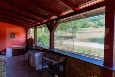 Casă cu 3 camere cu Teren 4000 Mp în Rovina (Brănișca) - 14
