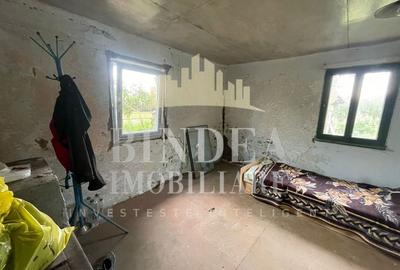 Casa Babsa, comuna Balint 2084mp teren - 10