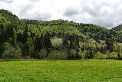 Teren de 48297 mp, în Sătic