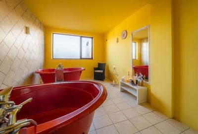 Hotel/Pensiune, de 305 mp, în Băile 1 Mai - 3