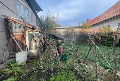 Casa individuala Andrei Muresanu Casa individuala Andrei Muresanu - 6