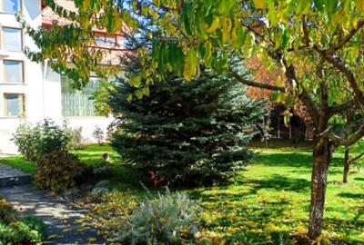 Casă cu 5 camere cu Teren 698 Mp în Albert - 7