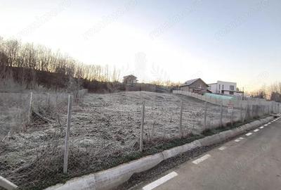 Teren de 2700 mp, în Plopu - 5