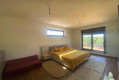 Duplex cu 4 camere cu Teren 1045 Mp în Arsa - 22