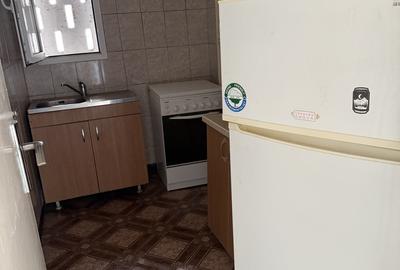 Apartament cu 2 camere decomandat în Sala Palatului - 11