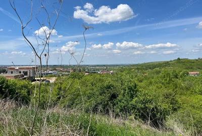 Teren de 8200 mp, în Lugoj - 7