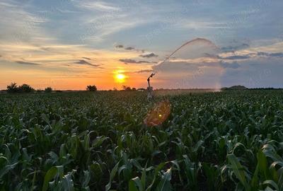 Arendez teren agricol - 1